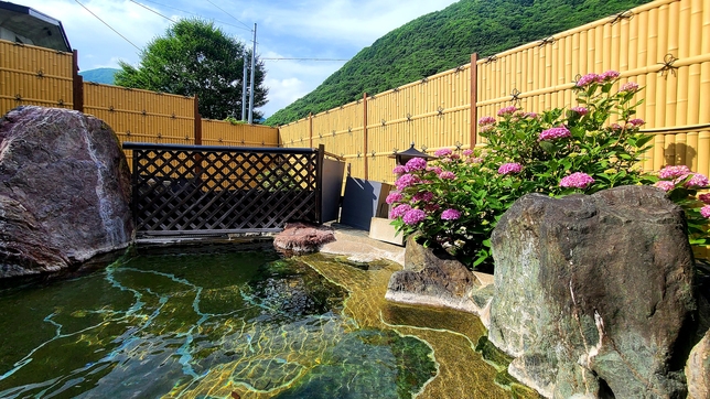 【１人旅】自由気ままにぶらり旅♪貸切風呂をひとりじめで贅沢気分！［1泊2食］