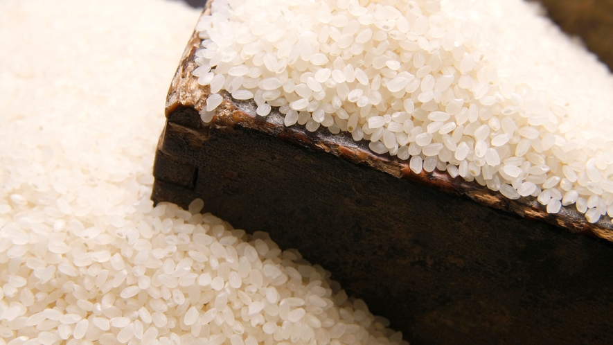 【会津産コシヒカリ】天然の雪解け水が豊富で、お米作りに最適な環境の会津。自慢の会津米です！