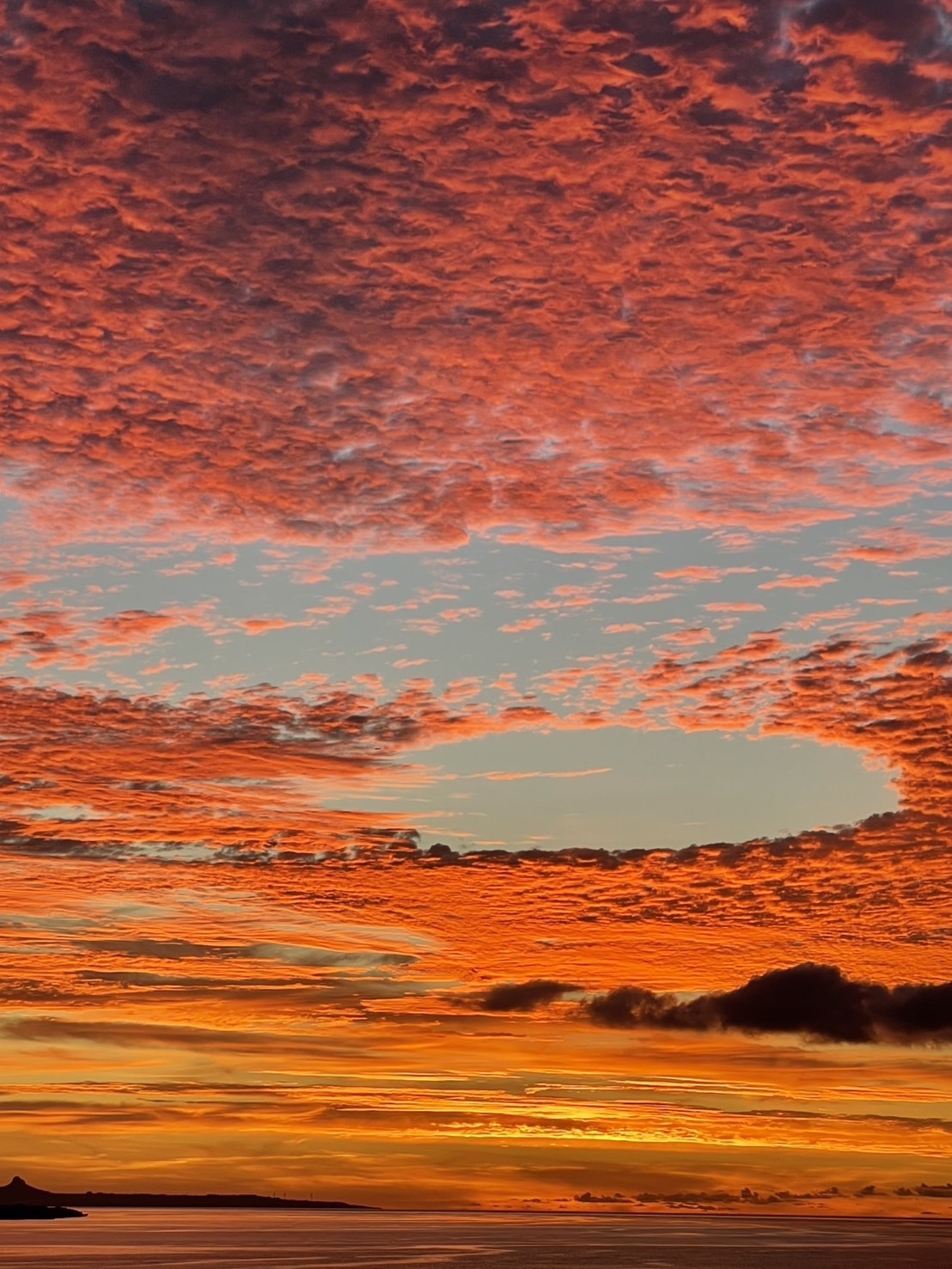 【連泊割10％OFF・3泊以上】の〜んびり島時間を満喫！沖縄北部の観光の拠点にも（素泊まり）