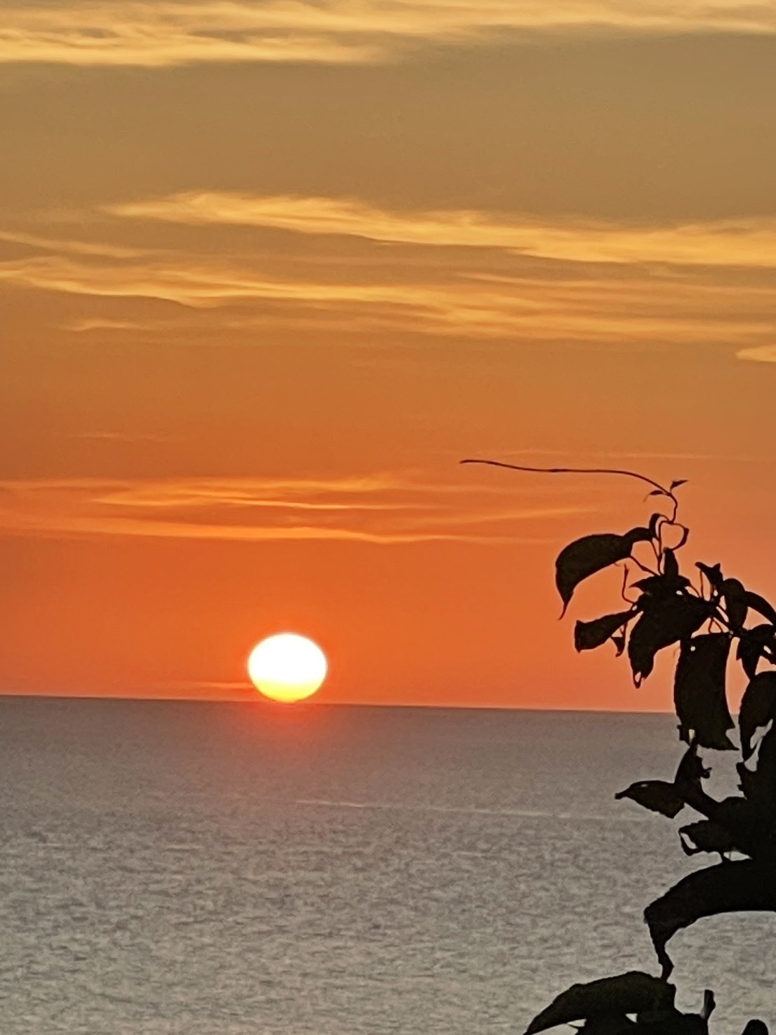 【楽天スーパーSALE】【朝食付】古宇利島から沖縄北部を満喫！朝食付きプラン★★