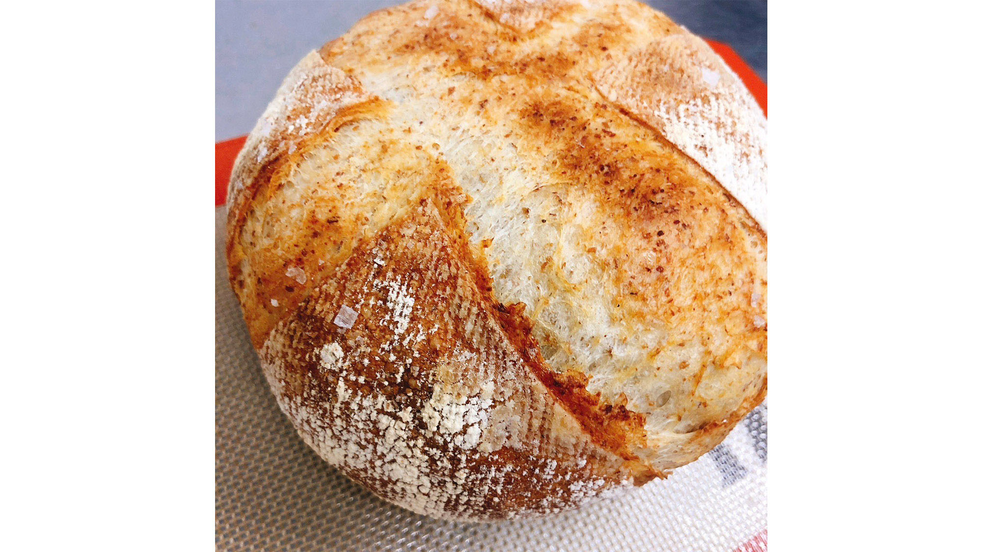 ・【ディナー一例】焼き立てのパンは香ばしさがたまりません