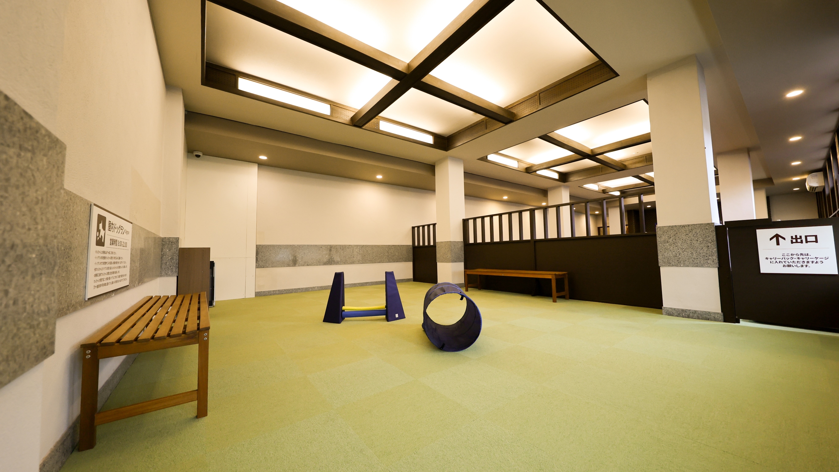 屋内ドッグラン