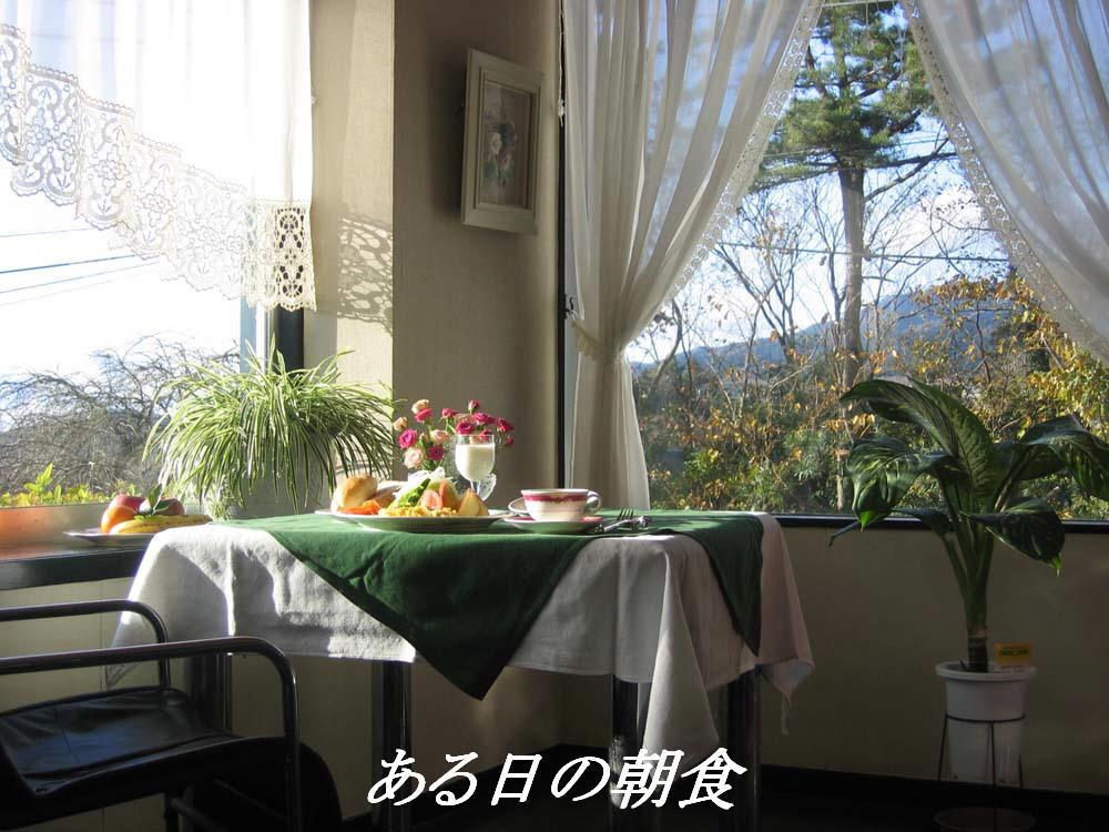 ★貸切天然温泉と　【伊豆七島を望む部屋があります】朝食付　シャワートイレ付（208）    