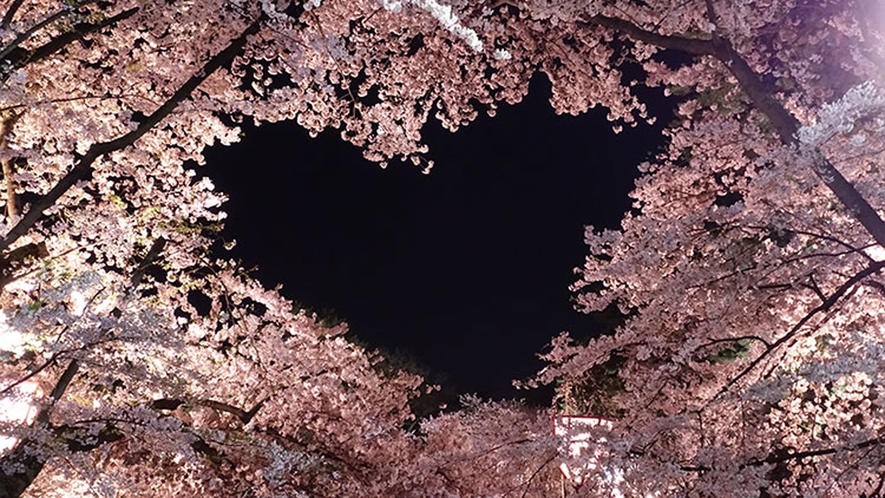 ＃【周辺観光】春には弘前公園の桜が咲き誇ります