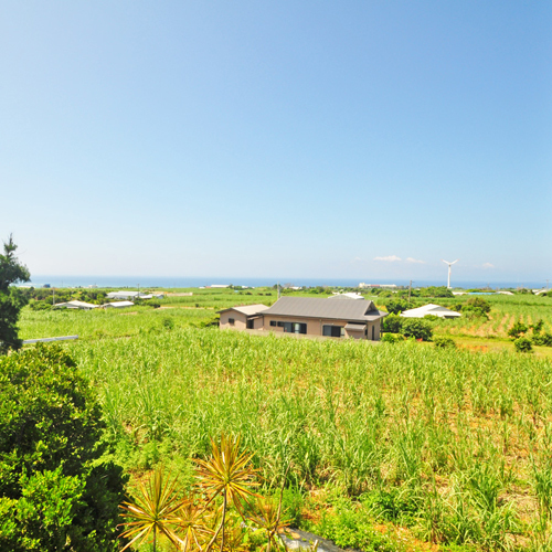 【和室6畳】客室からの景色