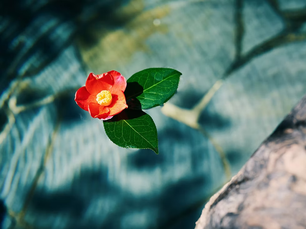 写真3