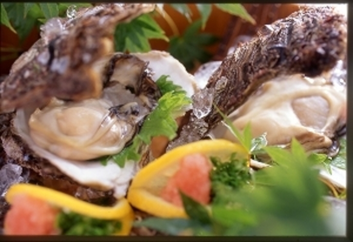 夏の岩牡蠣