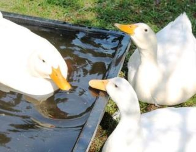 水浴び中♪