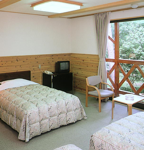 Image of a Western-style room