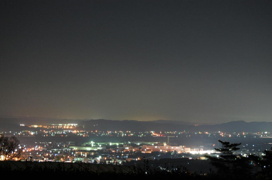 Night view from the forest house