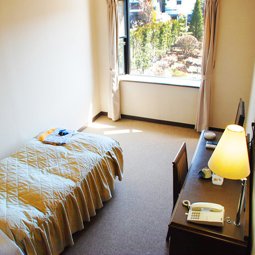 Spacious Western-style single room