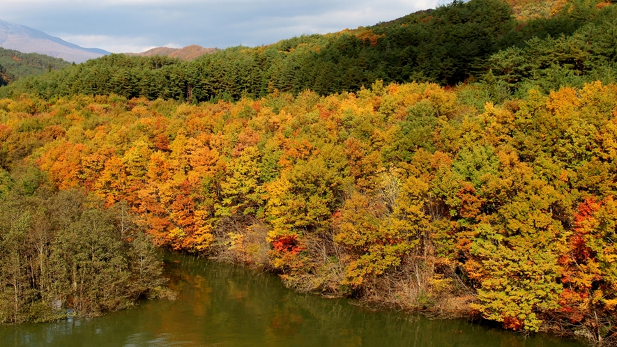 *【七ヶ宿ダム】紅葉した山々とダムの深緑が美しく映えます。【当館から車で約20分】