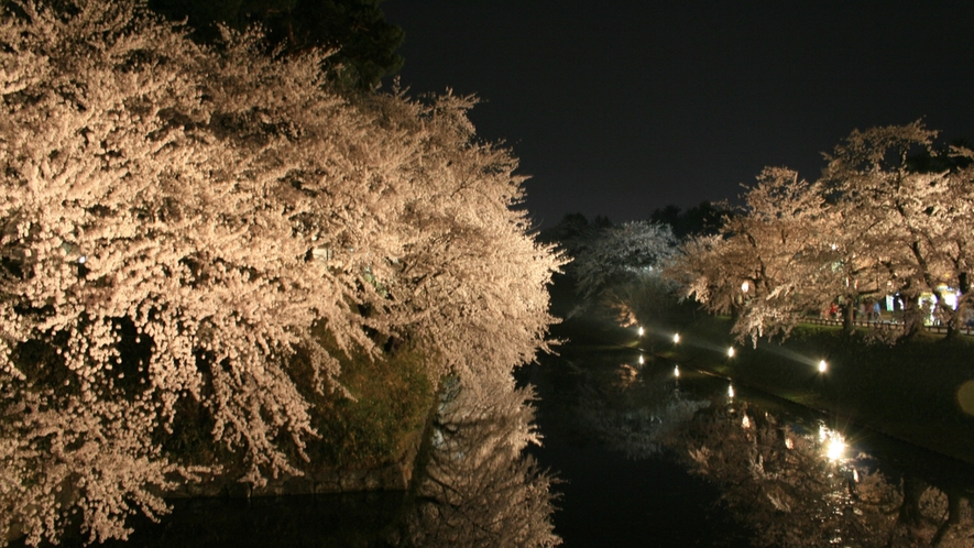 *弘前城桜まつり