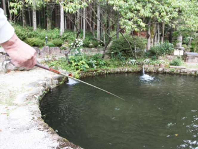 庭の池でニジマス・イワナ釣り