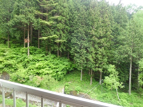 Pemandangan dari kamar 5