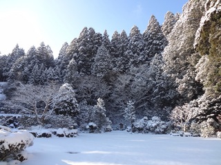 雪景色の庭