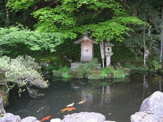 初夏のかくばん池