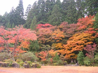 庭の紅葉