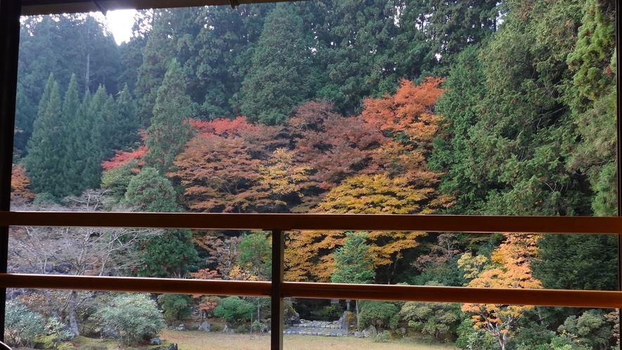 客室からの風景（秋）