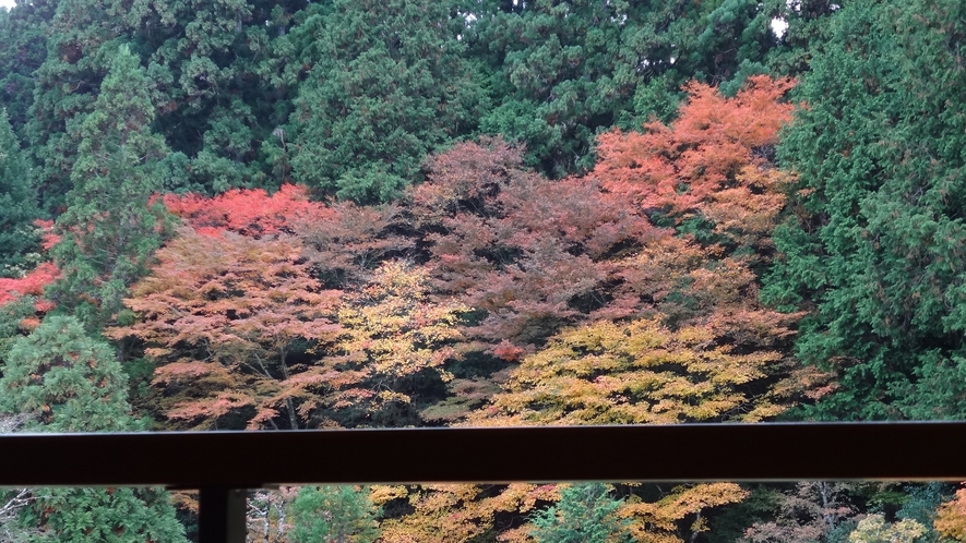 客室からの風景（秋）
