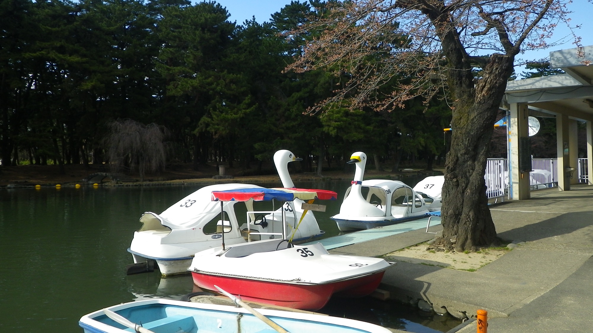 *敷島公園／緑豊かな公園ではスワンボートも楽しめる♪カップル・ファミリーにお勧め☆