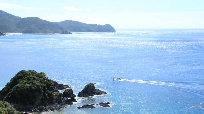 【さき楽28】早目の予約がお得！ ！奄美の島でリゾート気分 ≪朝食付≫