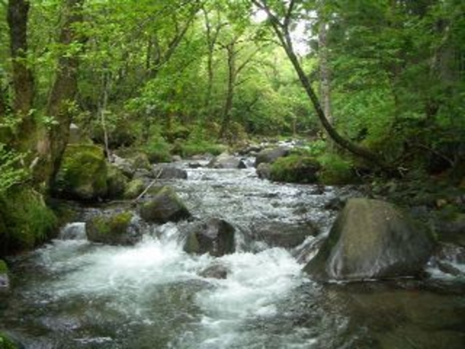 霧降川