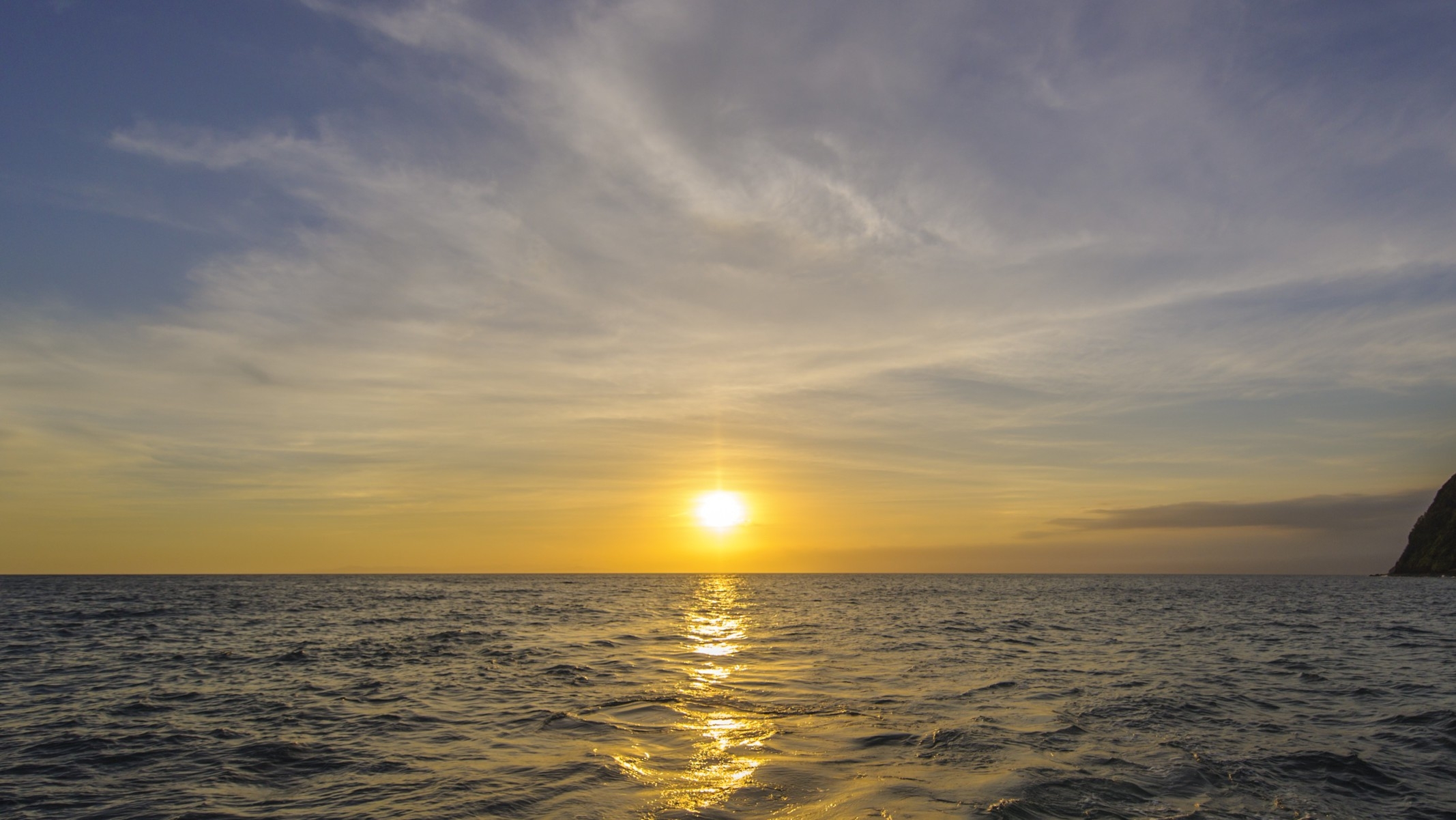 【スタンダード】愛犬と過ごす 駿河湾と夕日を望む温泉露天風呂客室 部屋食の駿河Modernディナー