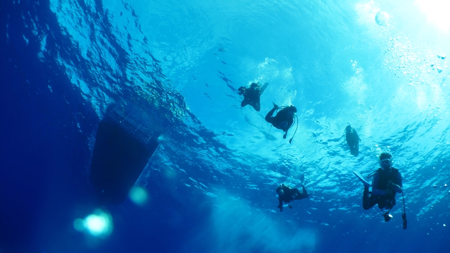 *【ダイビング】魚たちの住む深い海の底へ