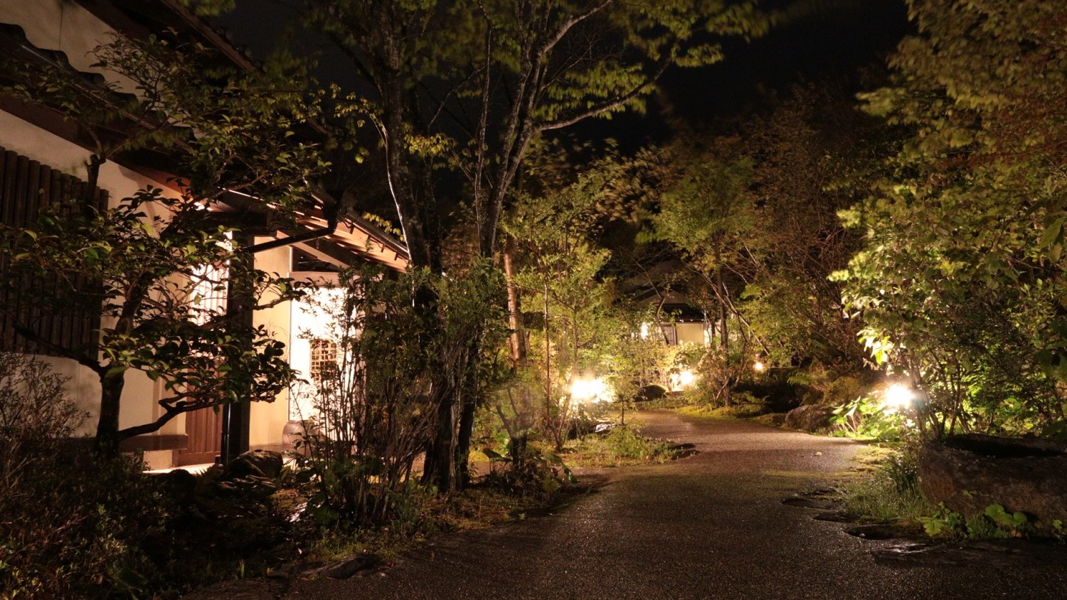 夜の中庭も素敵なんです♪