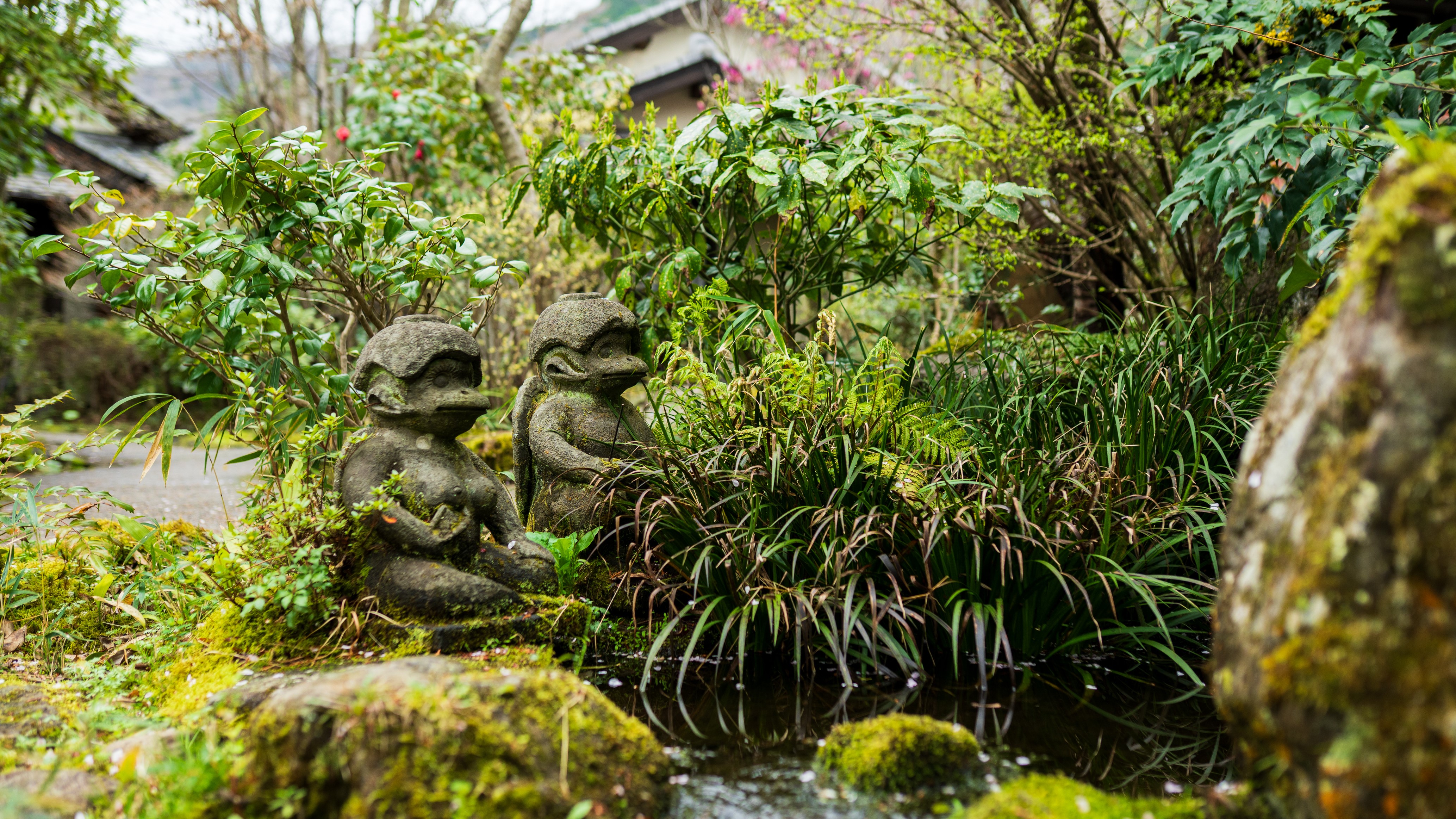 中庭の河童
