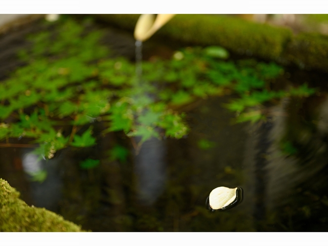 玄関先にある手水鉢