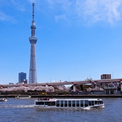 東京スカイツリー(R)