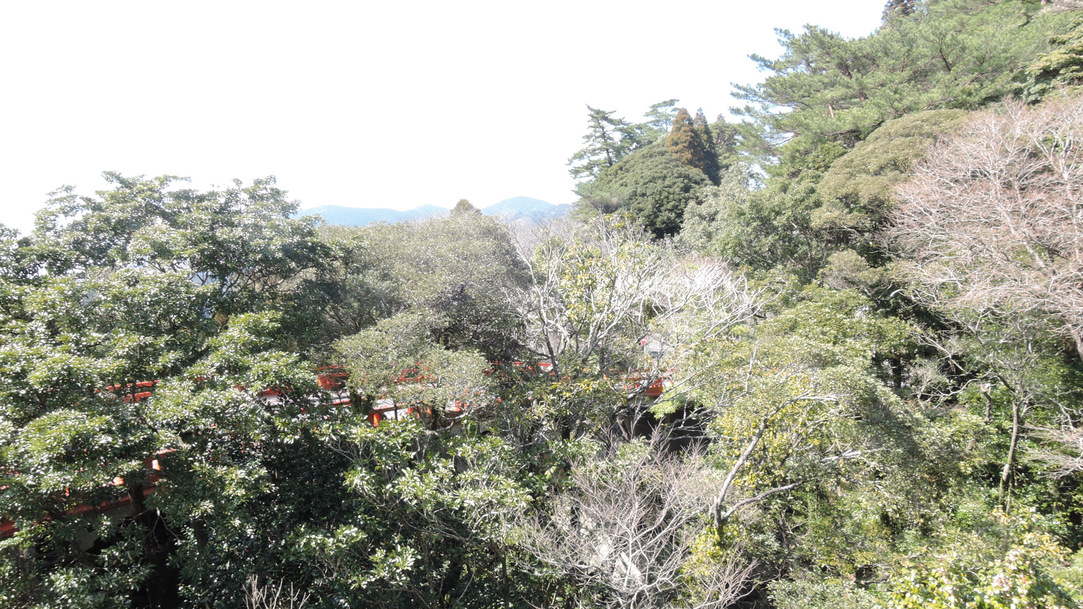 *【景色】お部屋によっては霧島神宮の森をご覧頂けます。