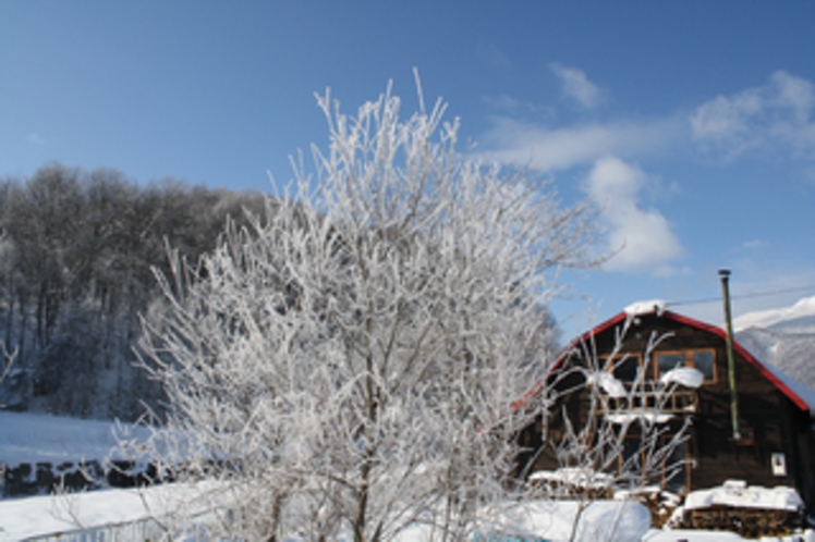 雪景色