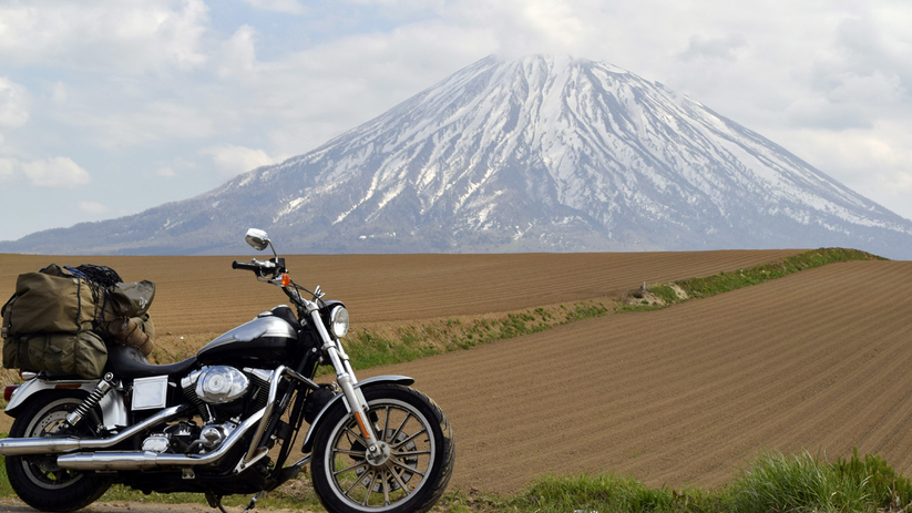 【SSTR2026】定番人気！海の幸を味わう聖火プラン【1泊夕食付】