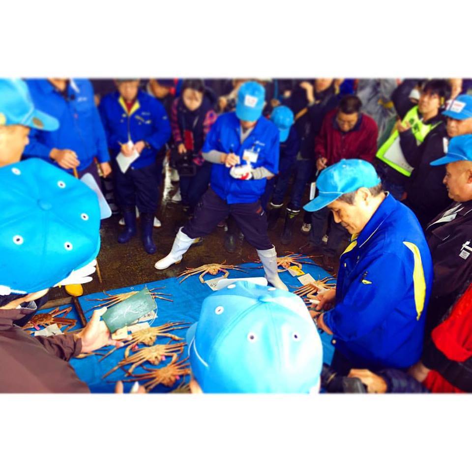 【楽天スーパーSALE】新鮮な香住ガニのお造りが食べられる！《香住かにフルコース》