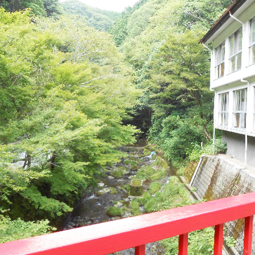 【スタンダード】山里に佇む歴史深い美肌の湯。手作り料理は嬉しいお部屋食＜2食付/現金特価＞