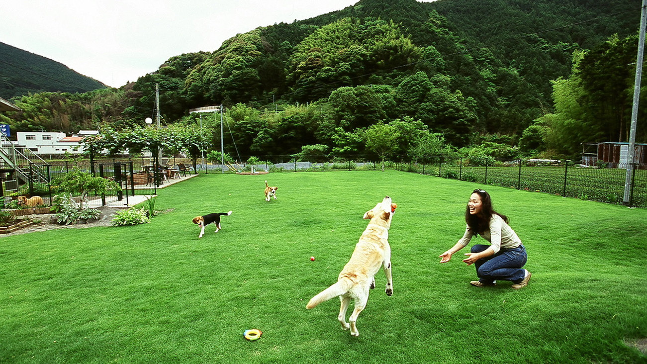 【ペット同伴ルーム】21時チェックインOK!愛犬と寛ぐ★お食事要らず♪シンプルステイ＜素泊まり＞