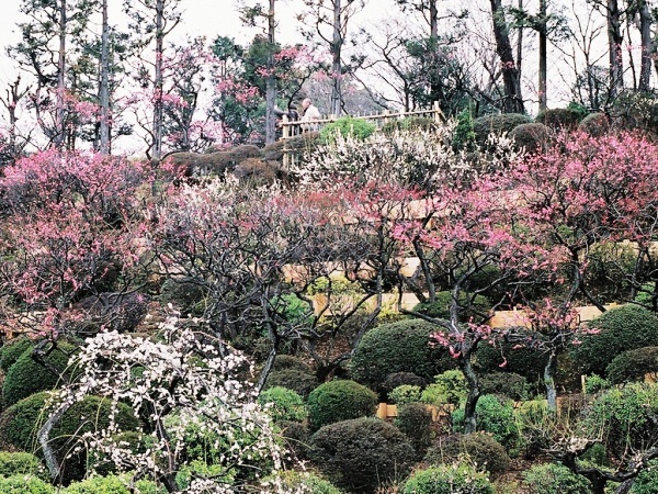 チサンイン京急蒲田 - 写真 47