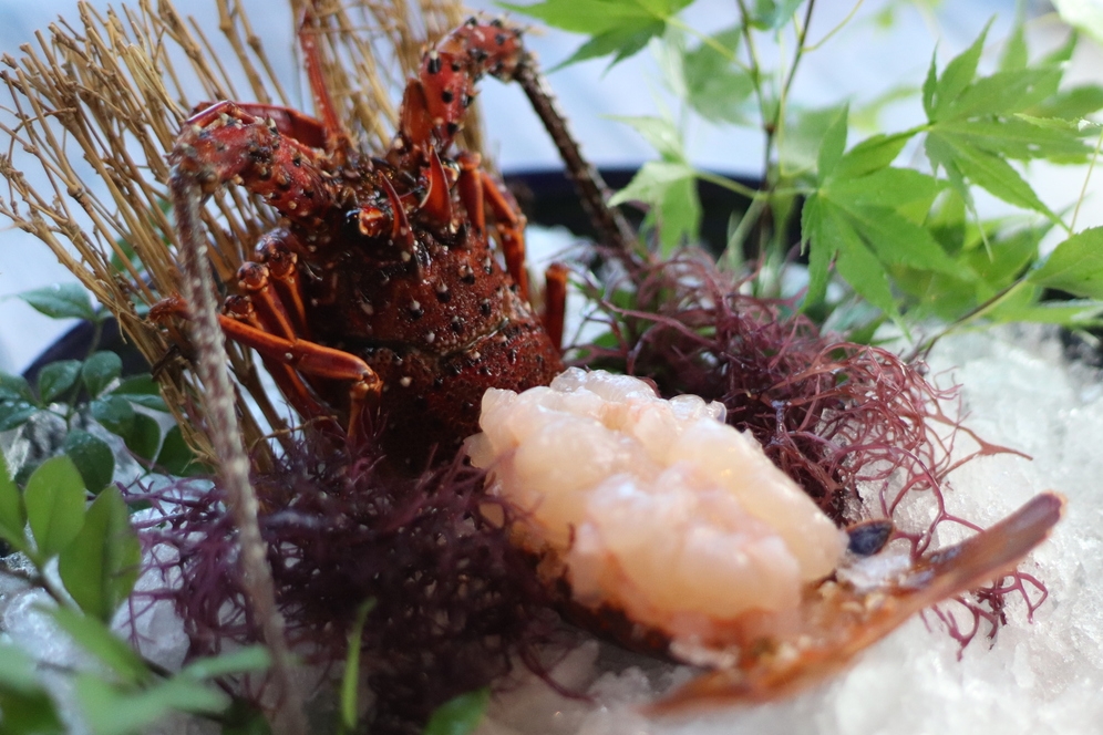 【贅を愉しむ】美食のプレミアムプラン★天草海鮮と極上肉と伝統野菜堪能★庭園露天風呂付き