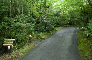 駐車場からのアプローチ