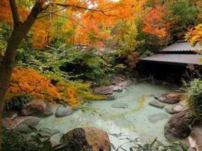 【立ち寄り湯・天狗松裕花（車で15分）】