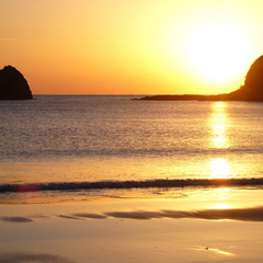 *【下田外浦海岸】夕陽に照らされた美しい海の姿。
