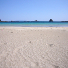 *【下田外浦海岸】美しい海岸を散策しませんか？