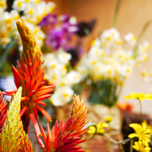 *ロビーに展示されている季節のお花はお好みのお花を選んでお部屋を彩ってください。