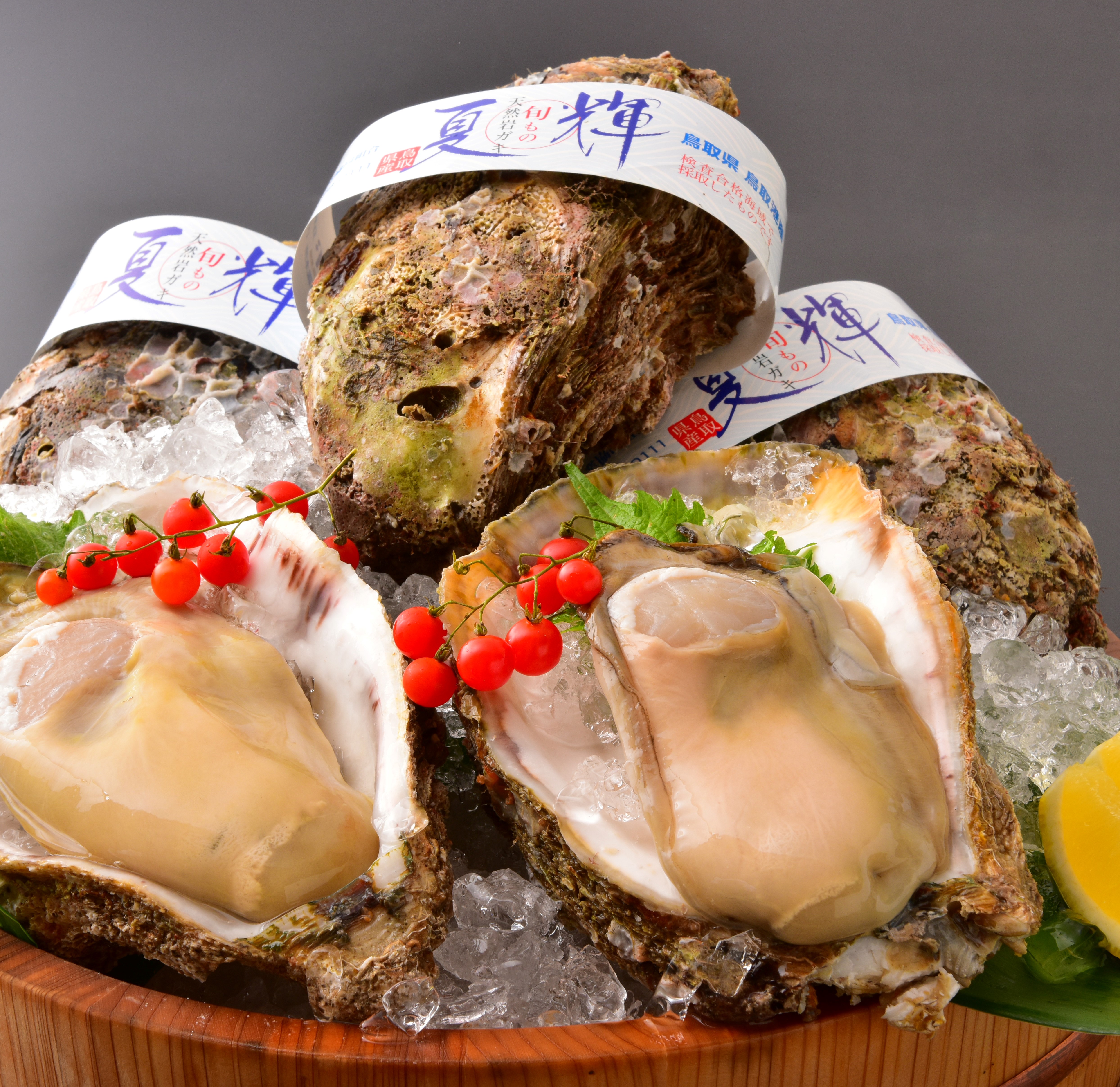 鳥取県産天然岩牡蠣【夏輝】