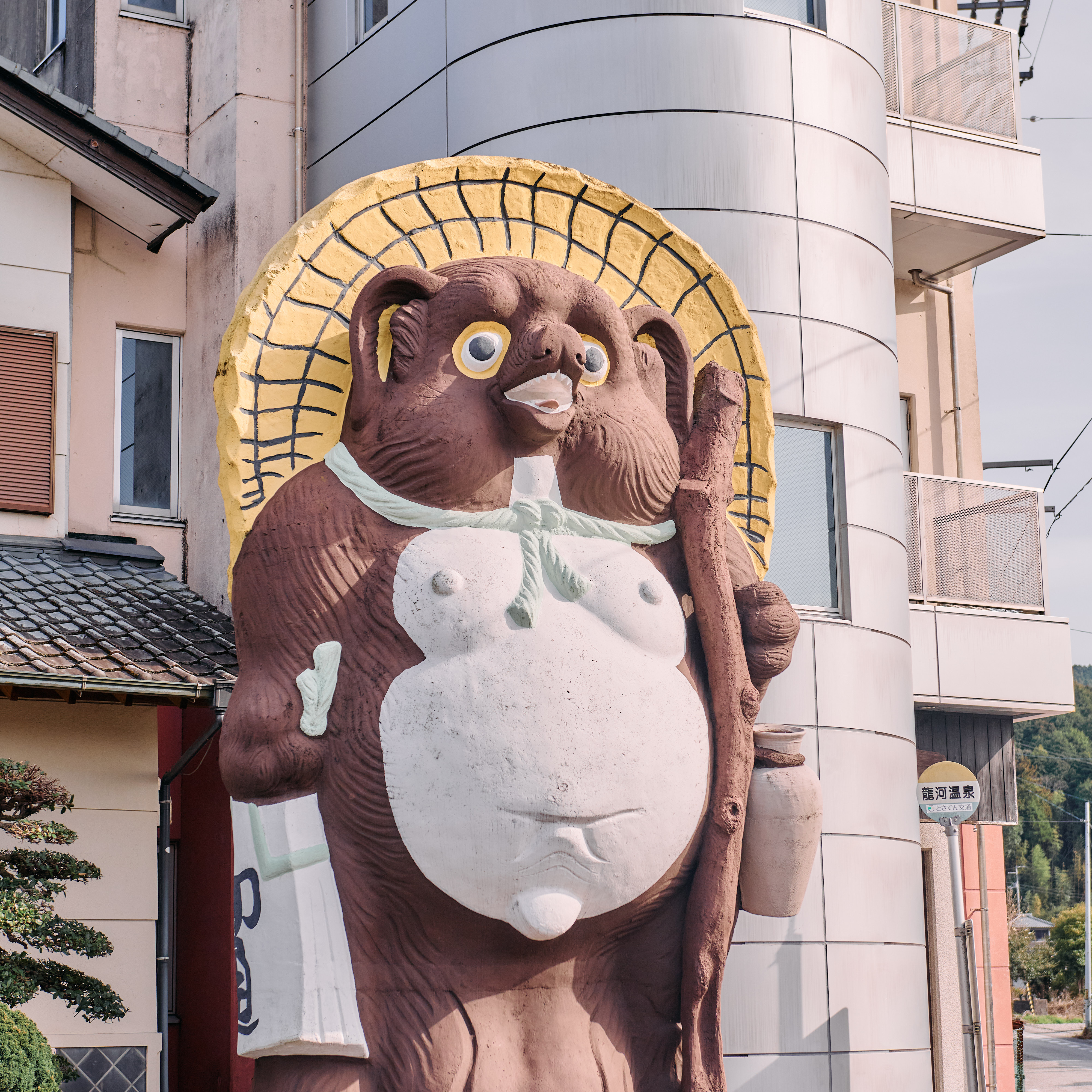 信楽焼のたぬきがお出迎え