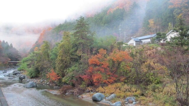 道志川温泉　紅椿の湯