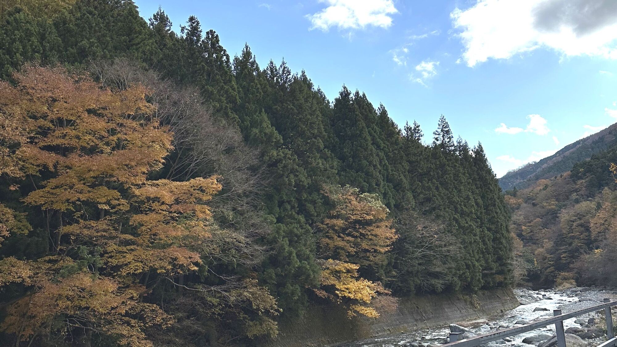 【紅椿の湯】敷地横を流れる道志川